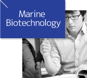 Marine Biotechnology